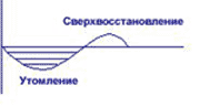 рис.1